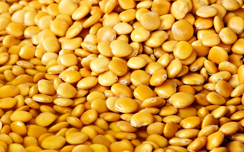 Italian Lupini Beans