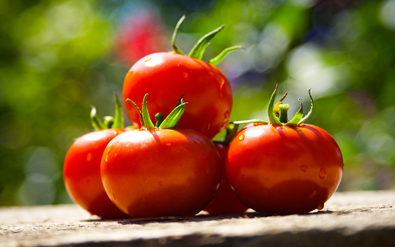 Tomatoes