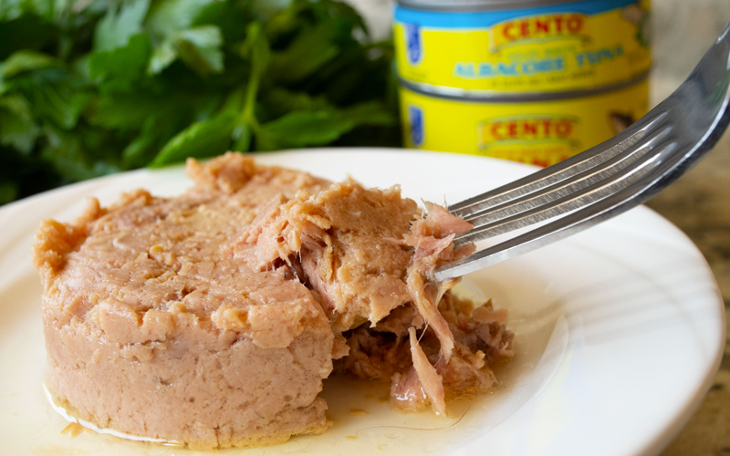 Tuna open can