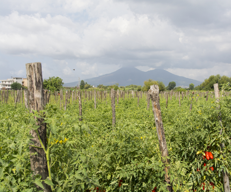 San Nocerino Area