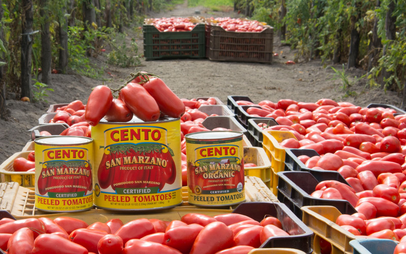 San Marzano Tomatoes