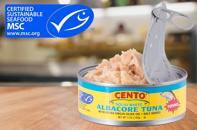 Albacore Tuna