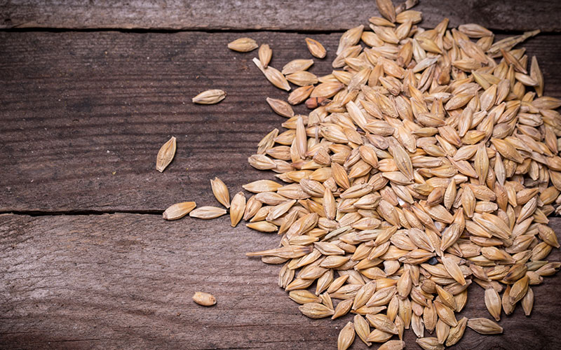 Whole Grain Barley