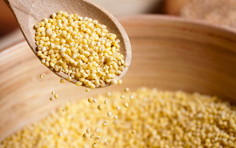 Whole Grain Millet