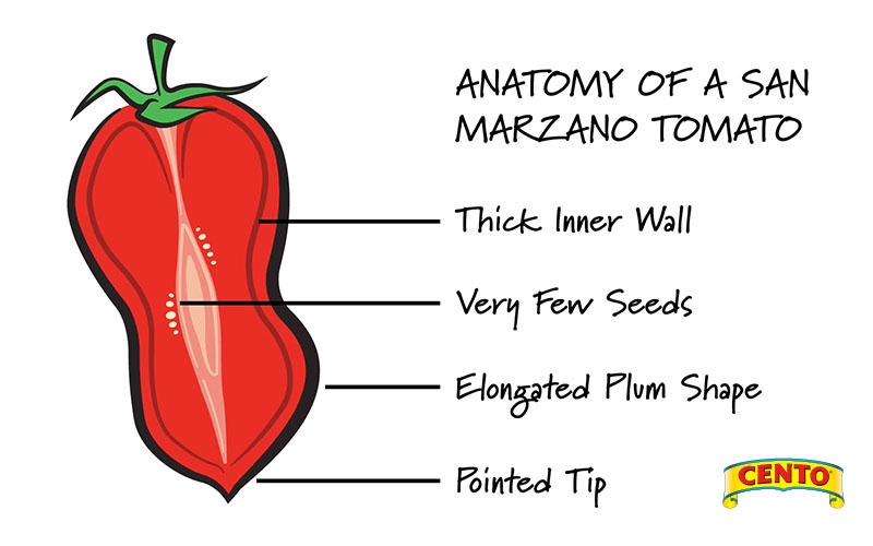 marzano tomatoes
