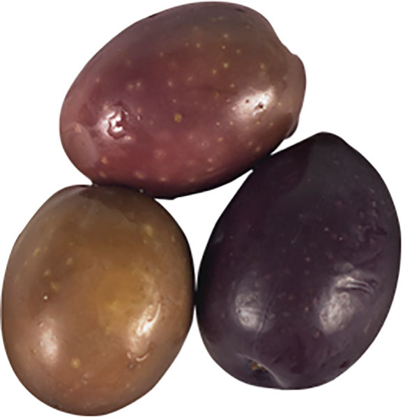 Cento Imported Greek Colossal Olives