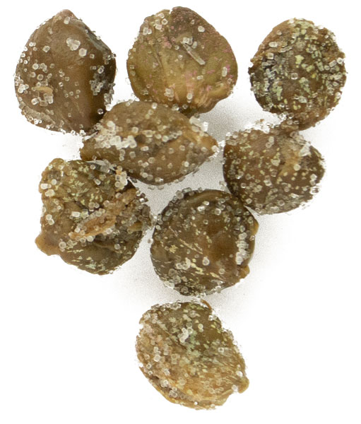 Cento Capers in Sea Salt