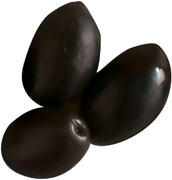 Cento Black Cerignola Olives
