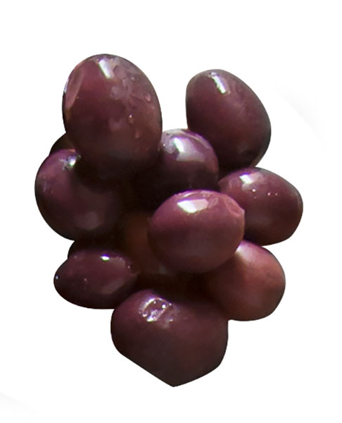 Cento Abruzzo Pitted Black Olives