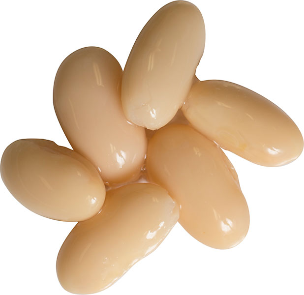 Cento Cannellini Beans