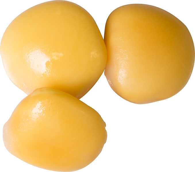 Cento Lupini Beans