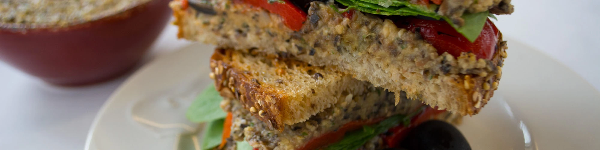 Mediterranean Hummus Panini