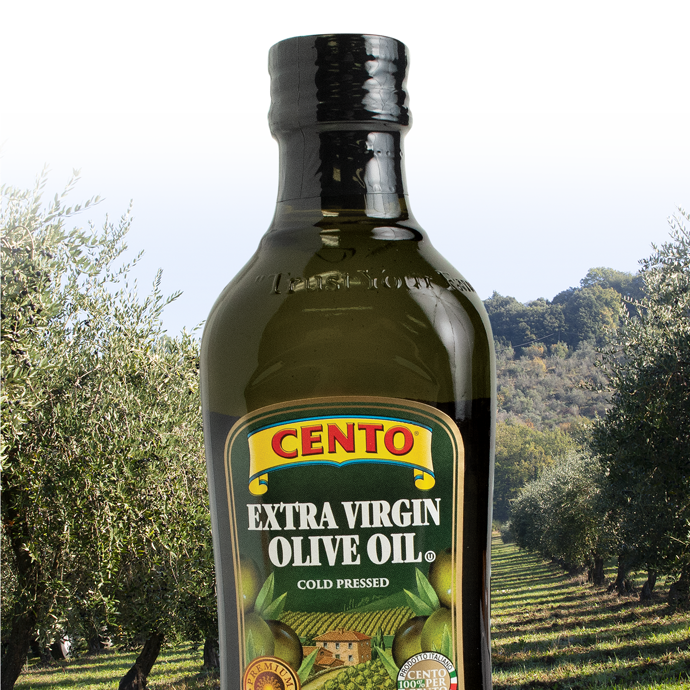 Bottle to Branch