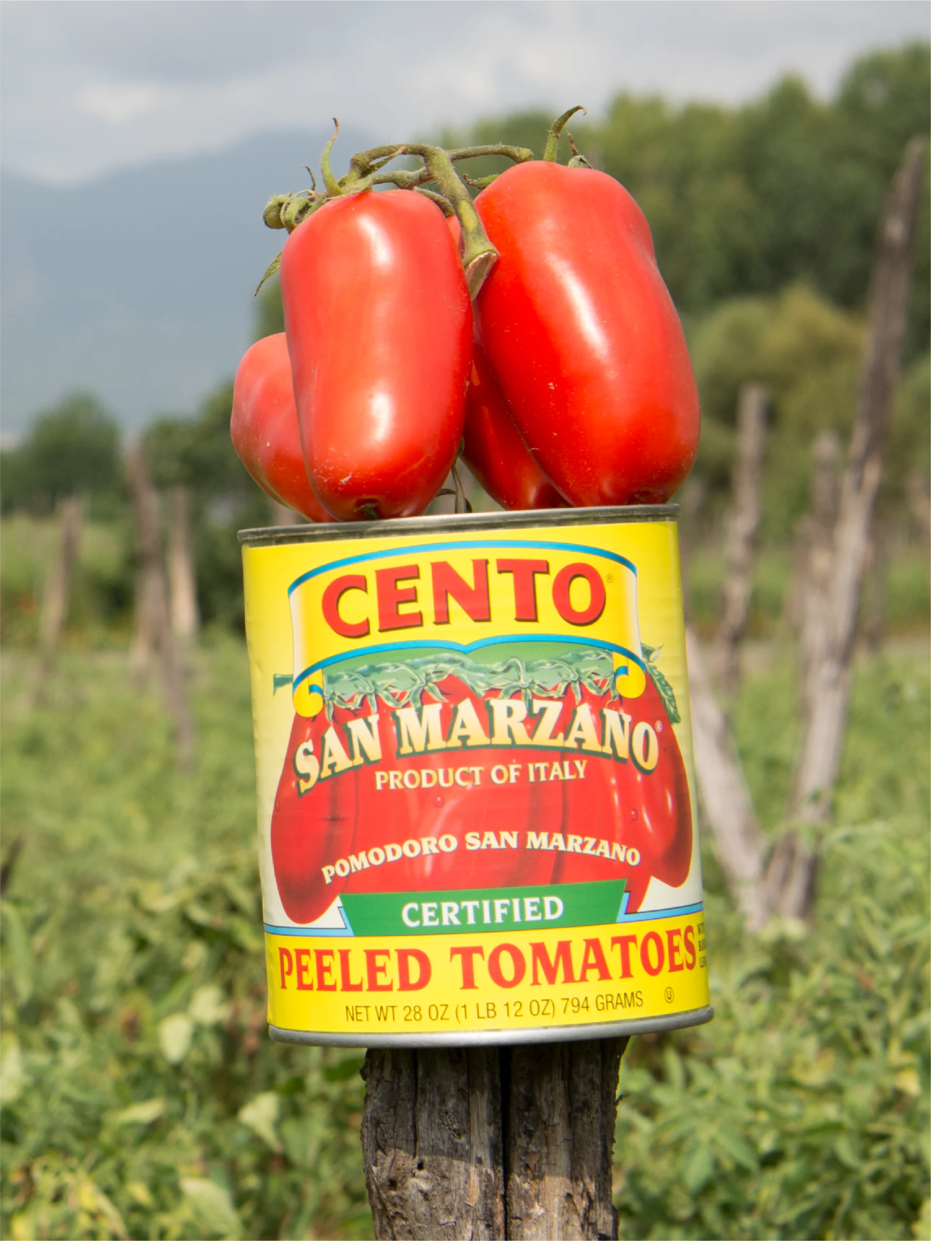Cento Find My Field traceability program