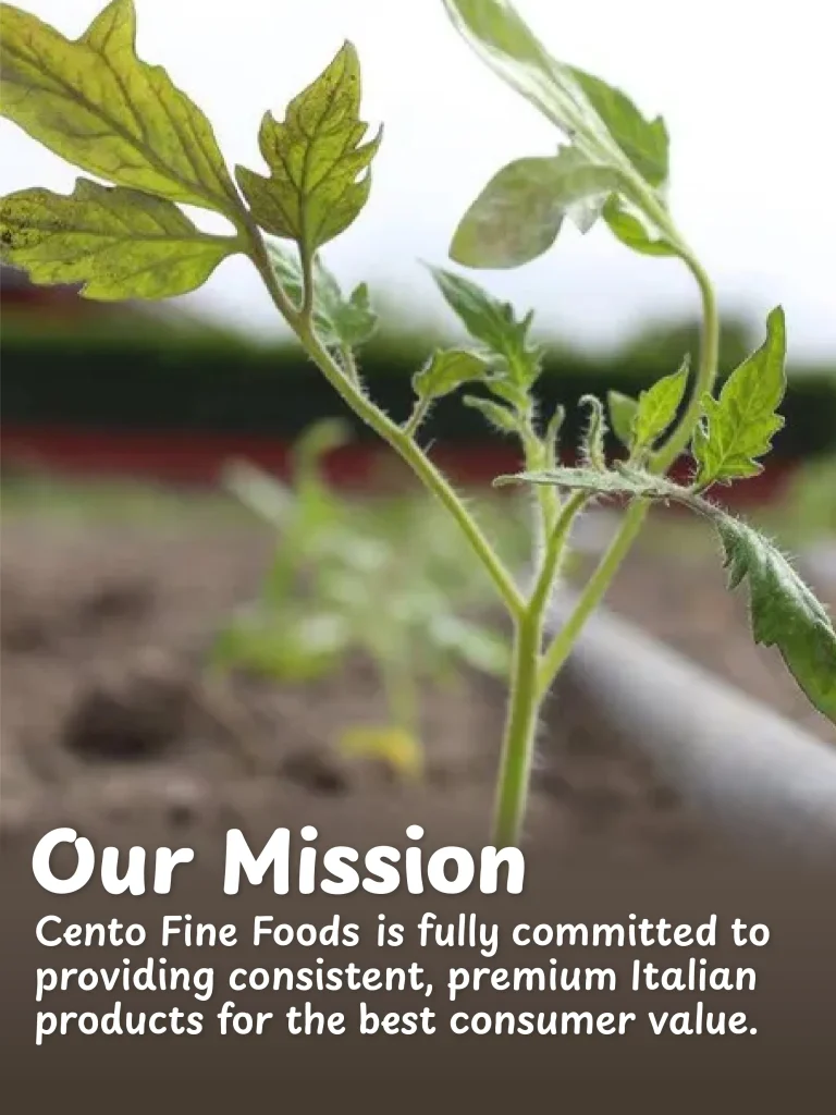 Our Mission