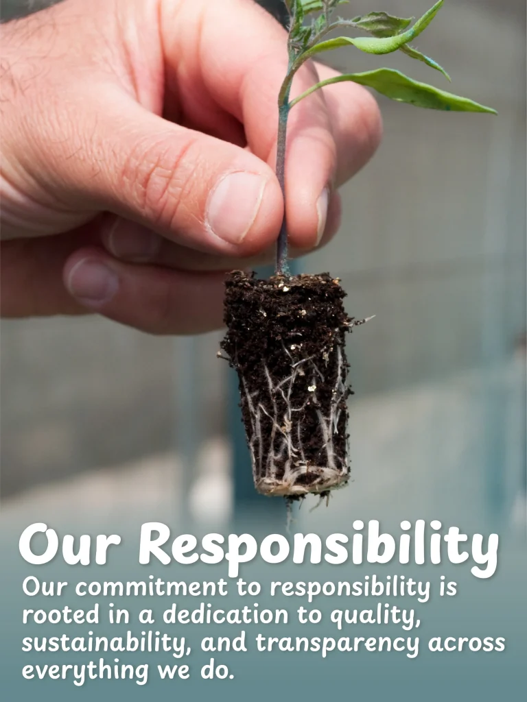 Responsibility
