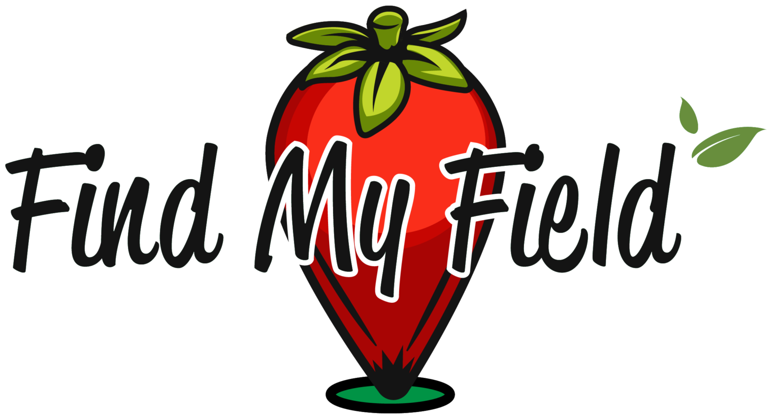 Cento Find My Field
