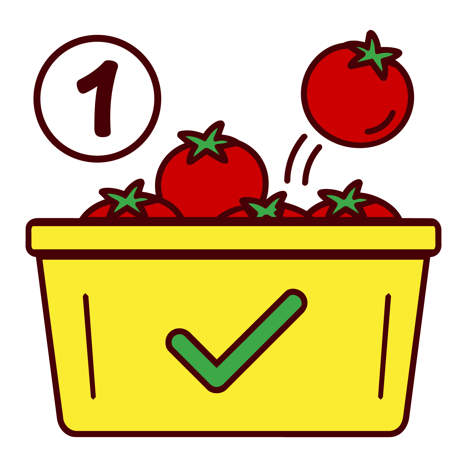good tomatoes being picked