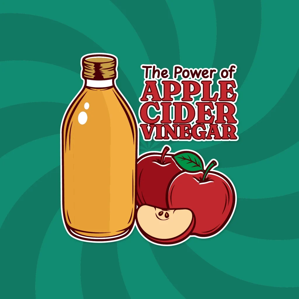 The Power of Apple Cider Vinegar