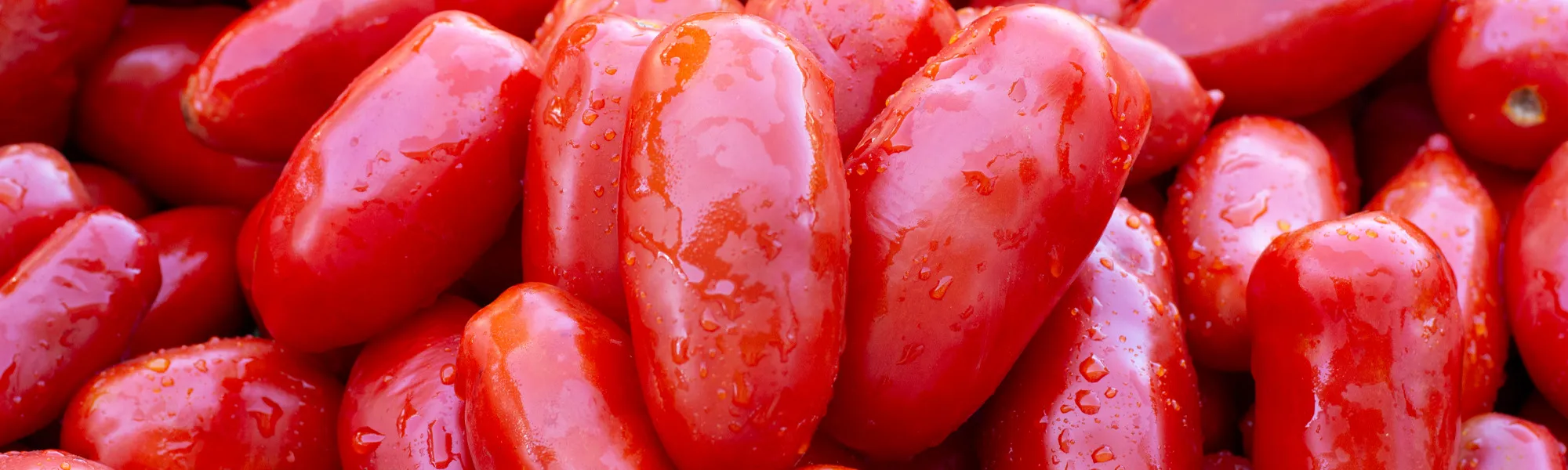 Cento San Marzano tomatoes
