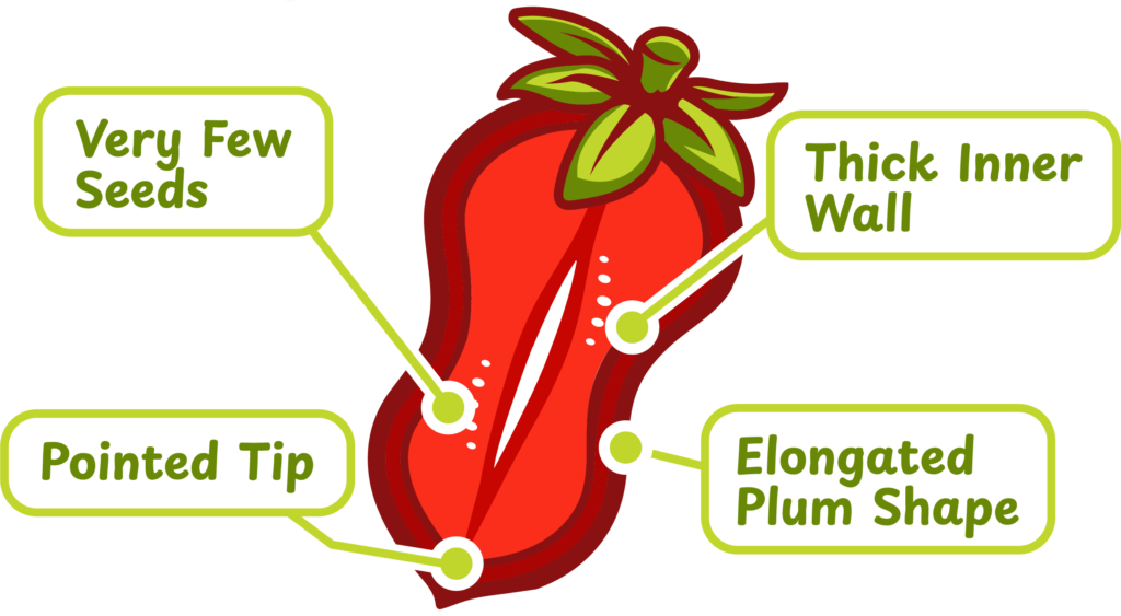 Anatomy of a San Marzano Tomato