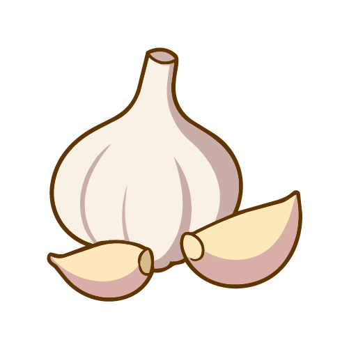 garlic vector