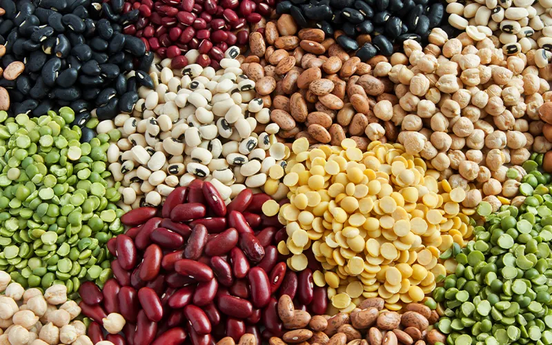 pile of beans