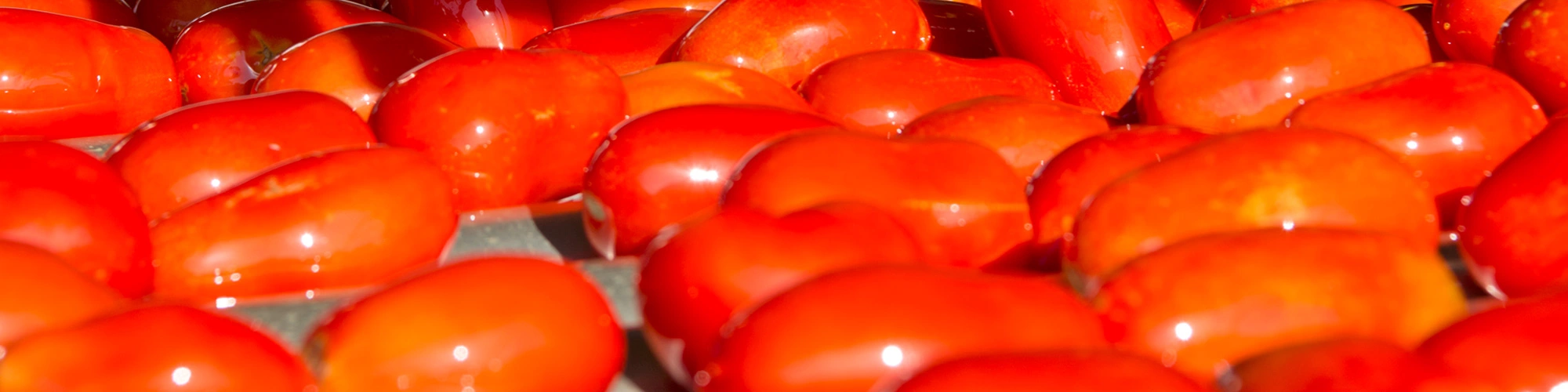 pile of san marzano tomatoes
